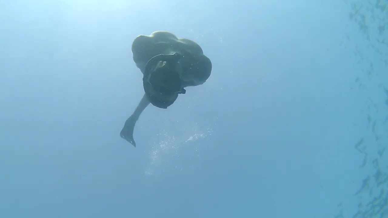 Punta Corrente Park #Istra #Rovinj - Underwater