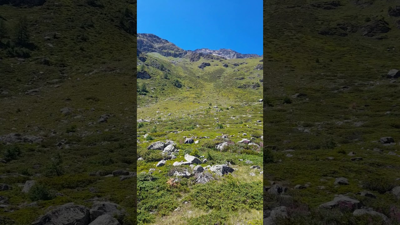 Parque nationale du grand paradiso valsavaranche