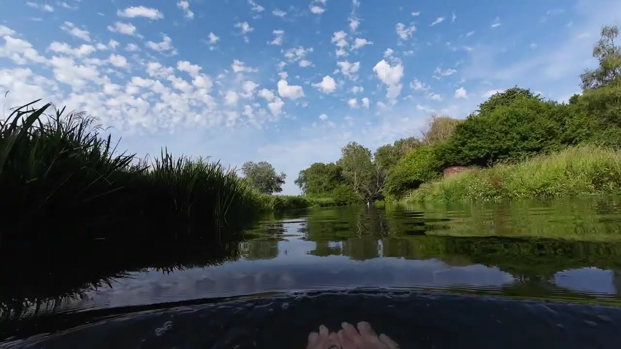 Gentle river swim at Little Somerford on the Avon