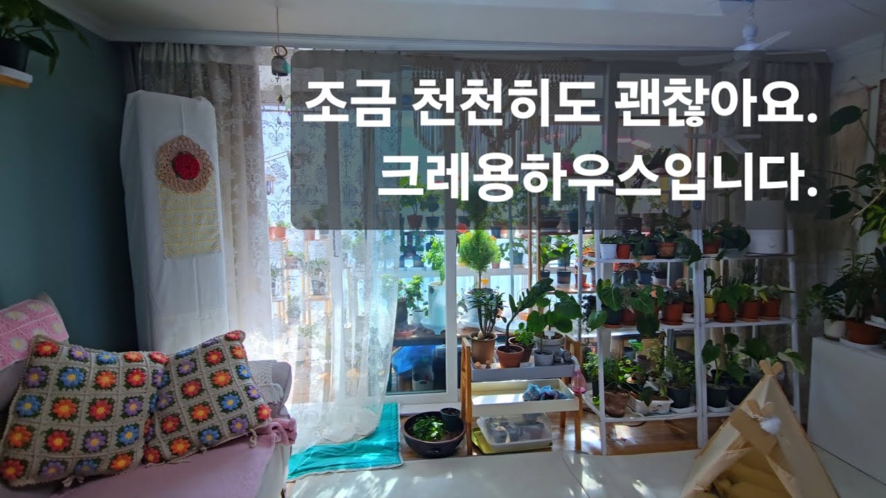 조금은 천천히, 갱년기와 함께 찾은 나만의 취향저격 #거실플렌테리어#갱년기#중년일상#식물일상#거실풍경#천천히사는법#식물집사#크레용하우스#식물플렌테리어