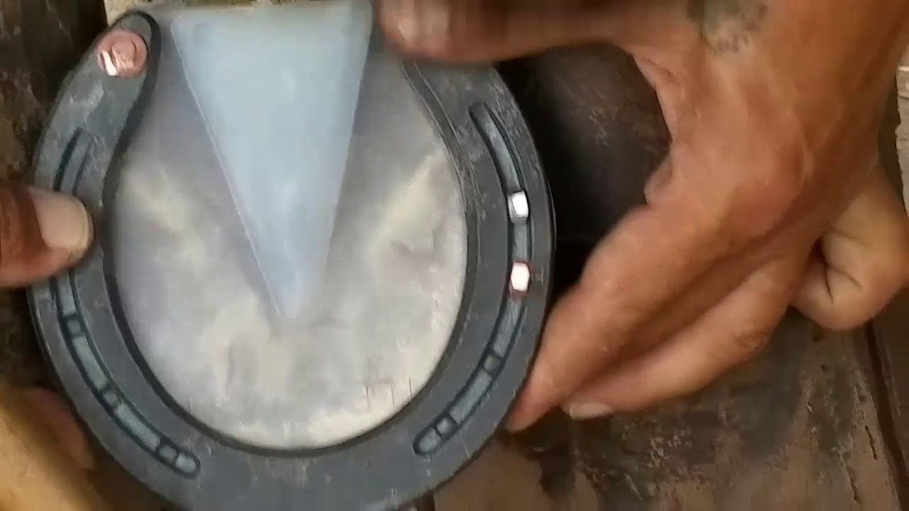 Treatment of acute case of laminitis