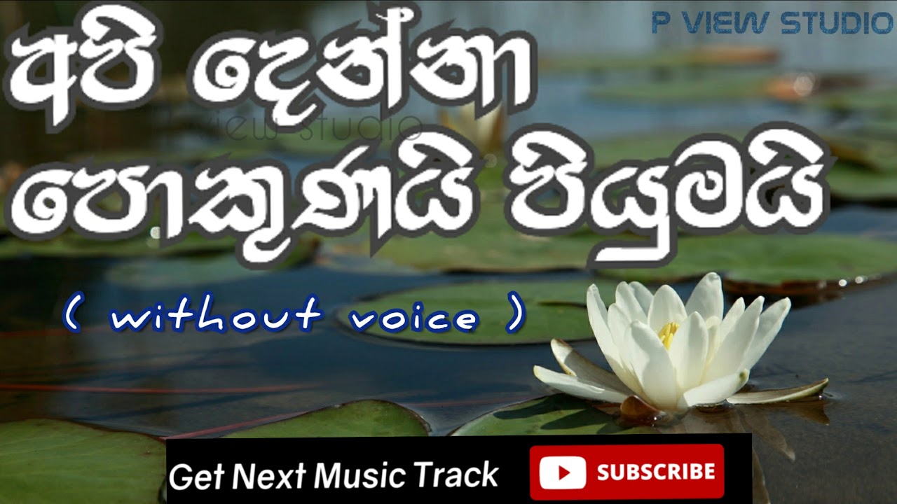 Api denna pokunai piyumai - karaoke song | without voice | lyrics | HRJothipala| sinhala song