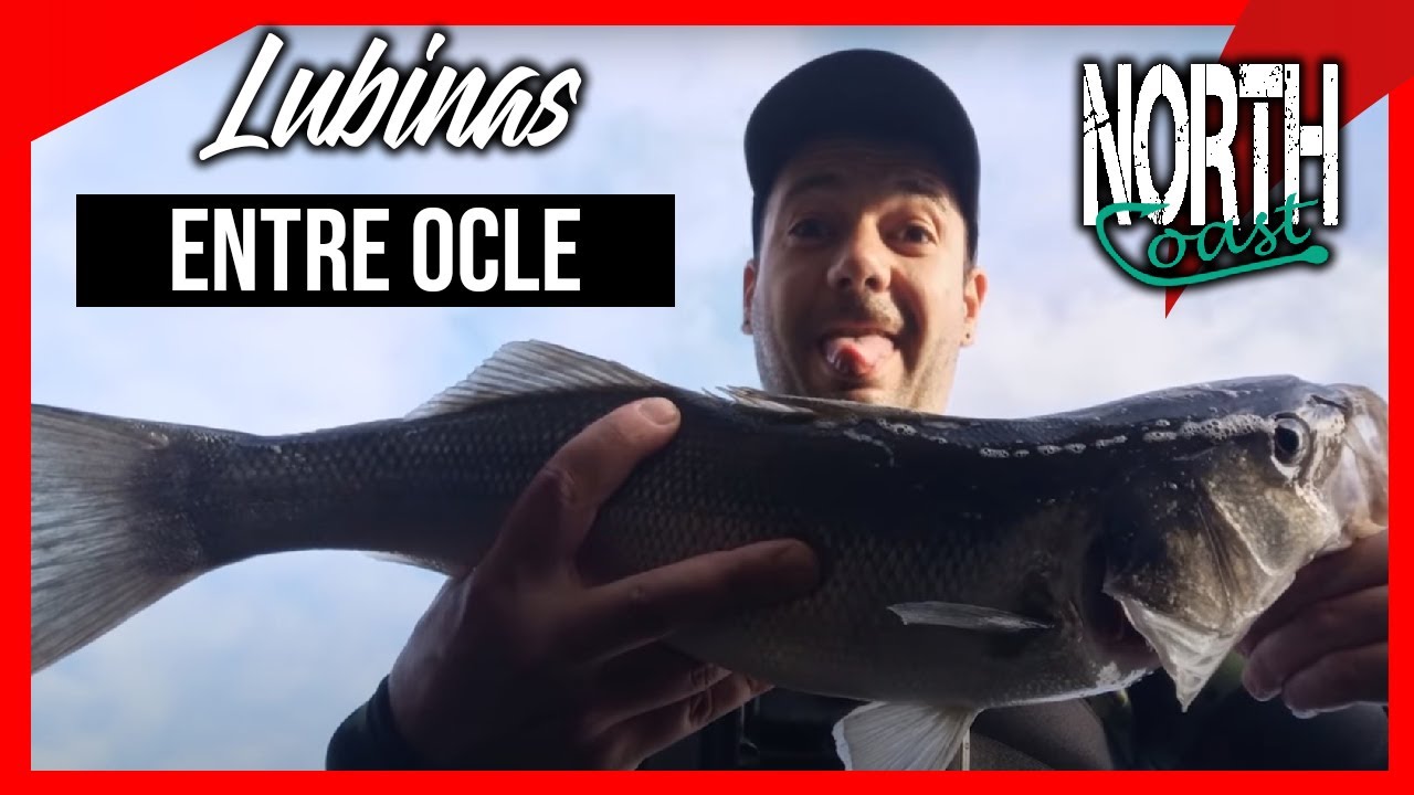 Pesca de LUBINAS a SPINNING 🉑 Iniciacion: TRUCOS Y CONSEJOS ⏩ Asturias