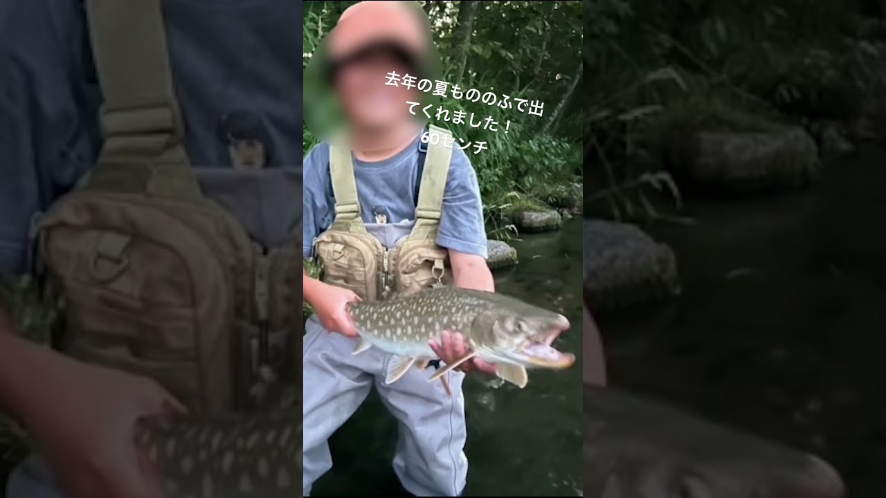 これはクラブメンバーが釣ったアメマスです！！60センチでしかも！オスでした！少し画質悪いですすみません。 #fishing #タ釣ル #アメマス #ショアジギングロッド  #ニジマス