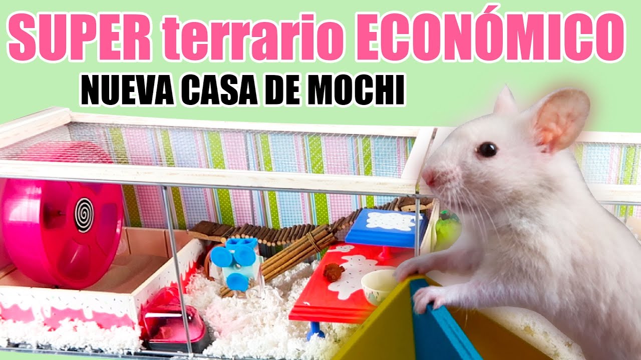 NUEVA CASA PARA MI HAMSTER MOCHI *ASÍ LA HICE* 🐹