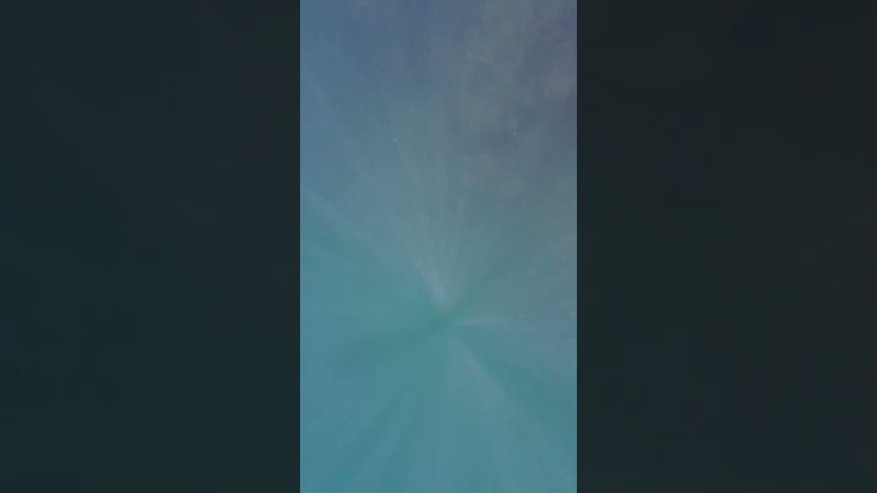 Underwater video Sardines Pacific Ocean