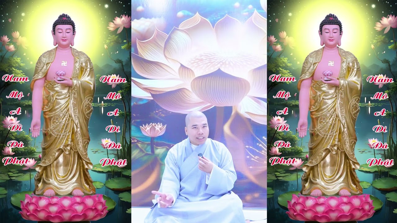 PHẬT PHÁP RẤT THÚ VỊ  #cusinhuanduc