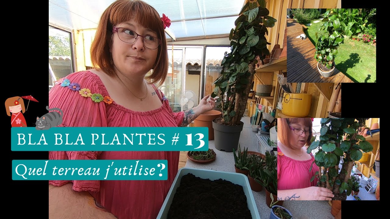 BLA BLA PLANTE #13🌿 Quel substrat j'utilise 🌱 Perlite et vermiculite on en parle🌱