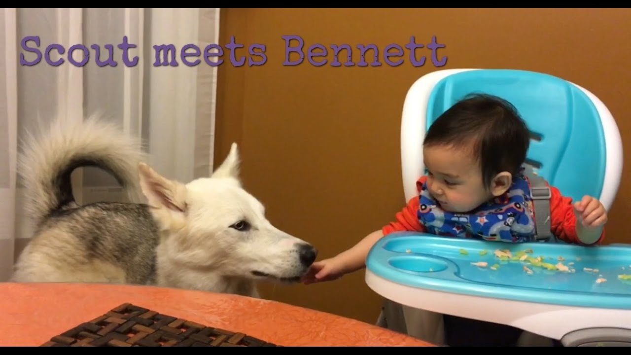 MEETING BABIES! Arctic circle to East Coast Adventures | PART 3 | Saskatoon to Ottawa