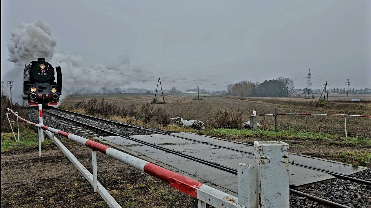 Pociąg specjalny Poznańczyk  z parowozem Pt47-65, Wolsztyn, 11.11.2024.