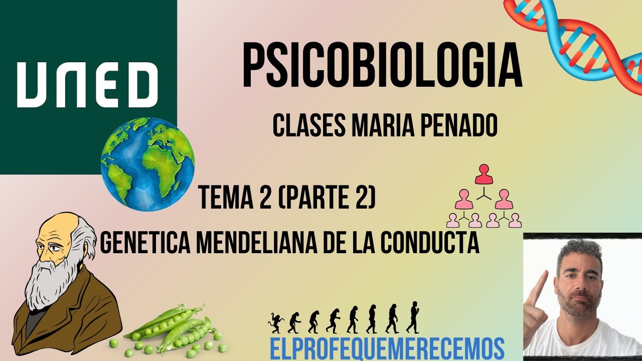 Psicobiologia UNED: TEMA 2 - parte 2 (Maria Penado)