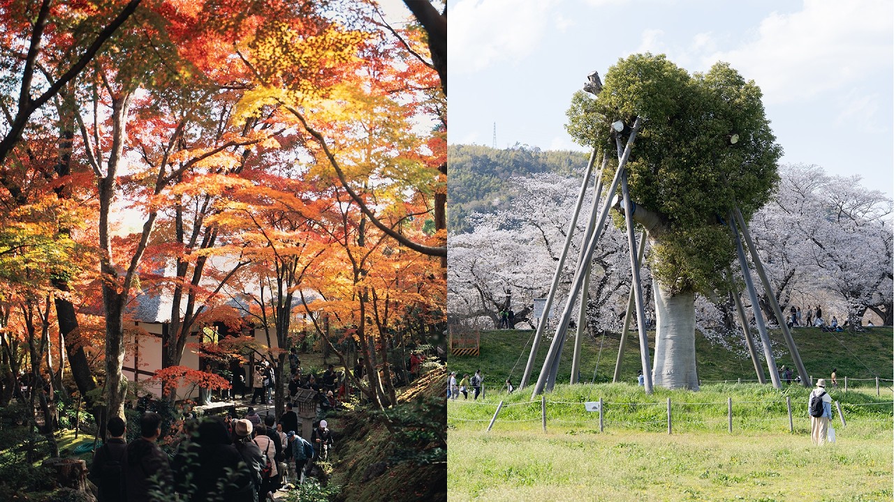 京都春秋