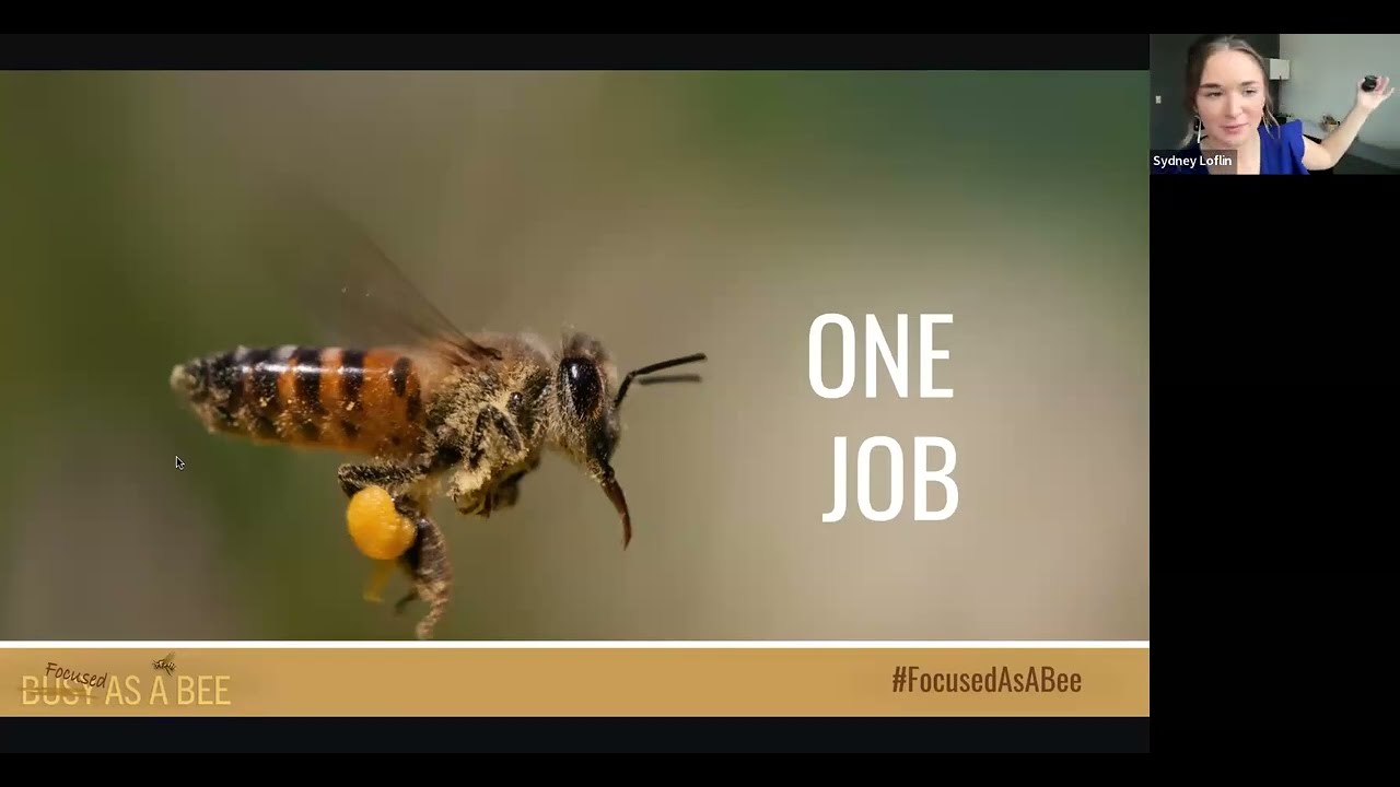 Are You Focused as a Bee?