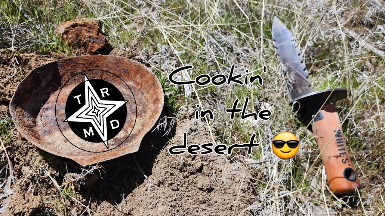 Searching for relics at an old rail stop- survival of the fittest!