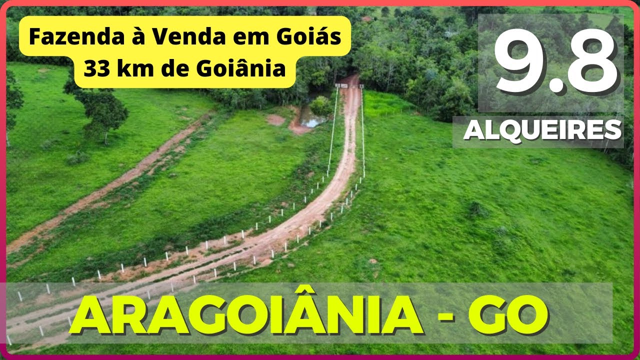 9.8 ALQ EM ARAGOIÂNIA - FAZENDA A VENDA EM GOIAS [🌱DUPLA APTIDÃO🐄] Zap 62.99972-2000 #agro #fazenda