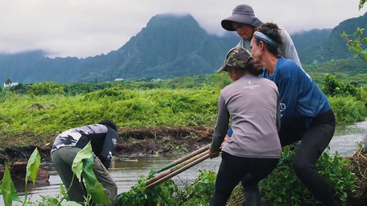 IT IS AN HONOR TO CARRY THIS RESPONSIBILITY