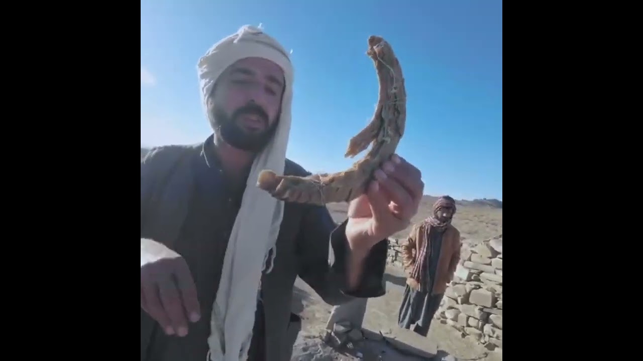 نادارا هدیره