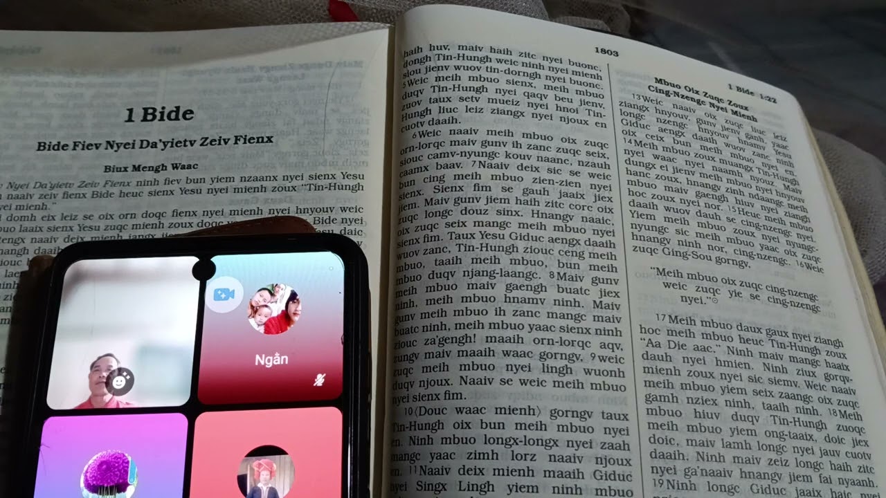 CING-NZENGC wuov dauh dongh haix dauh. (1bi^1:12-25.