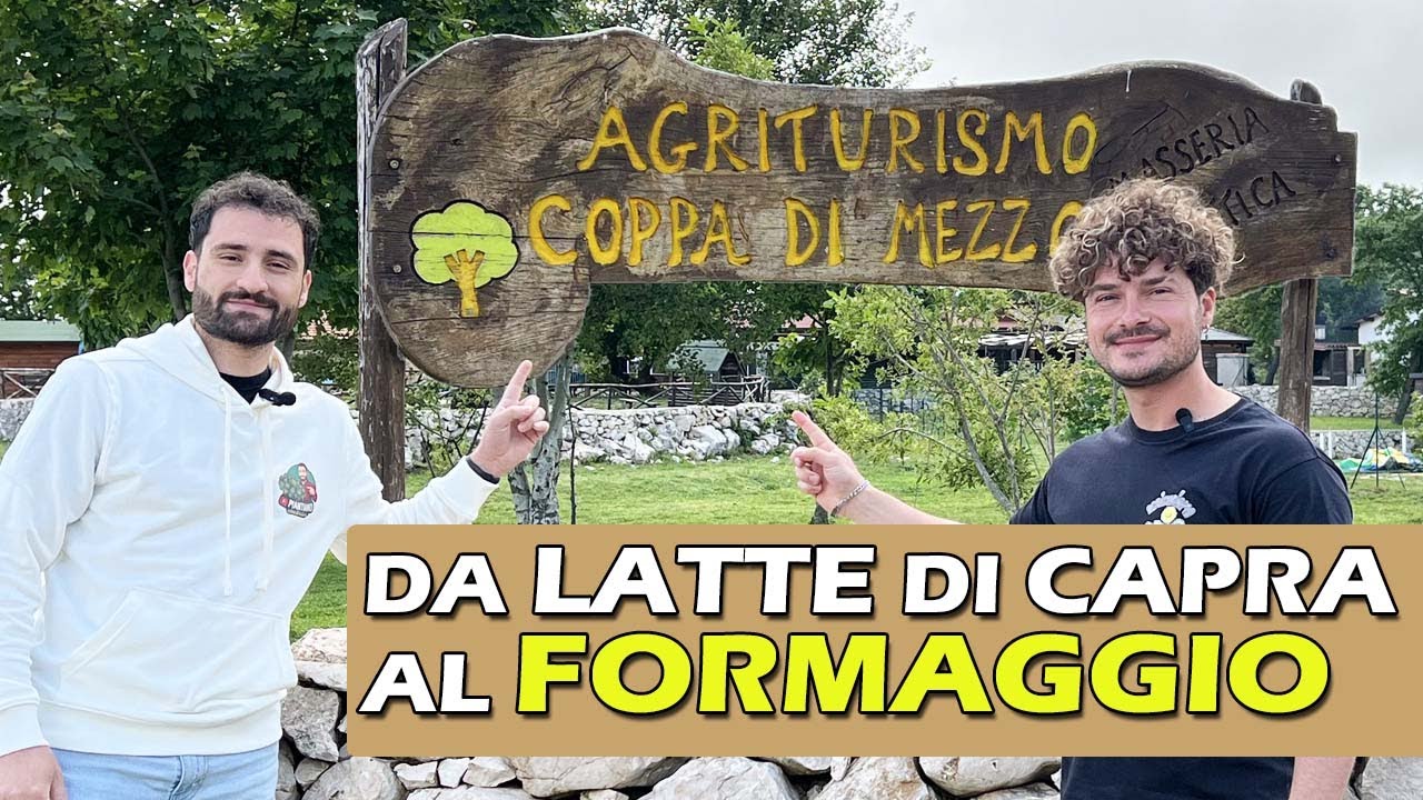 COME SI FA IL FORMAGGIO DI CAPRA PUGLIESE - LABORATORIO DEL LATTE ALLA MASSERIA COPPA DI MEZZO
