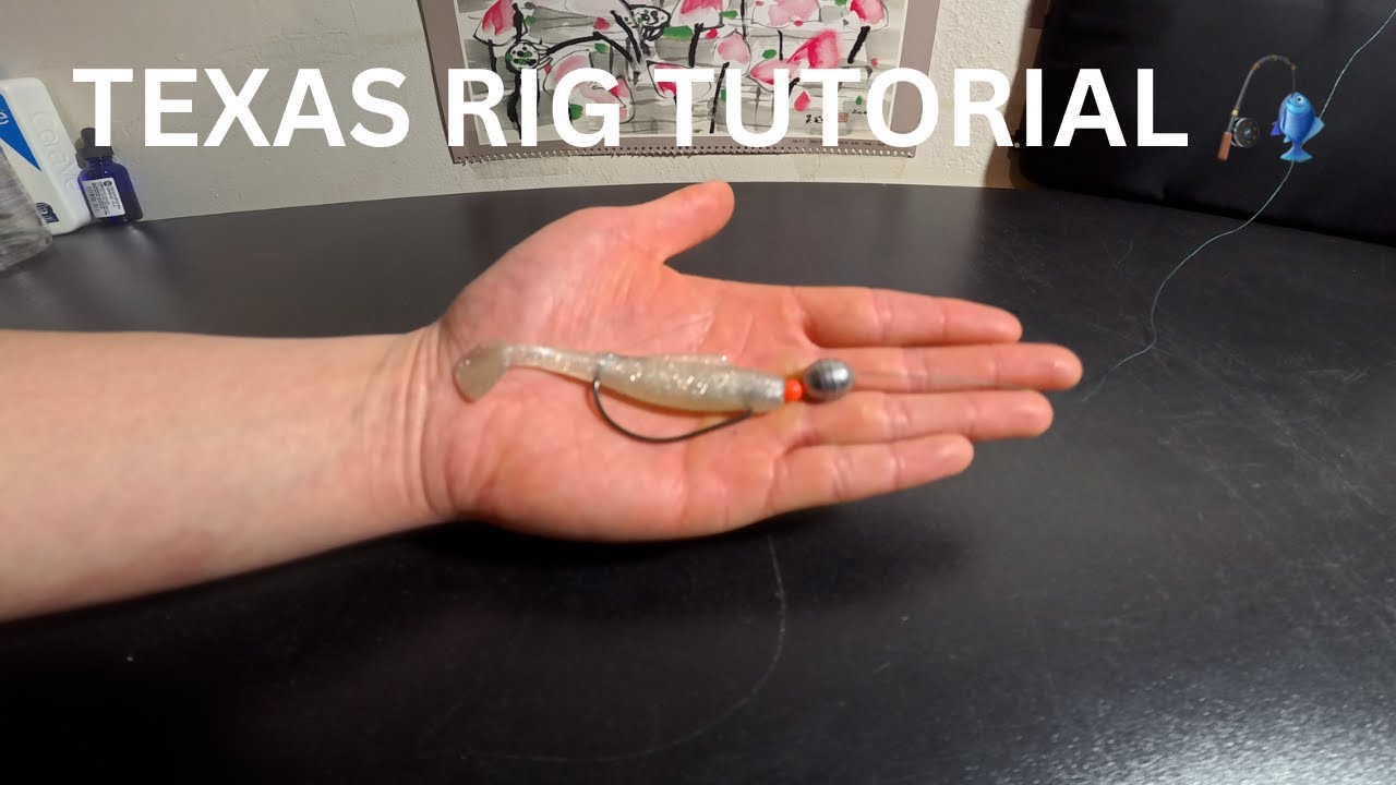 How to Tie Texas Rig