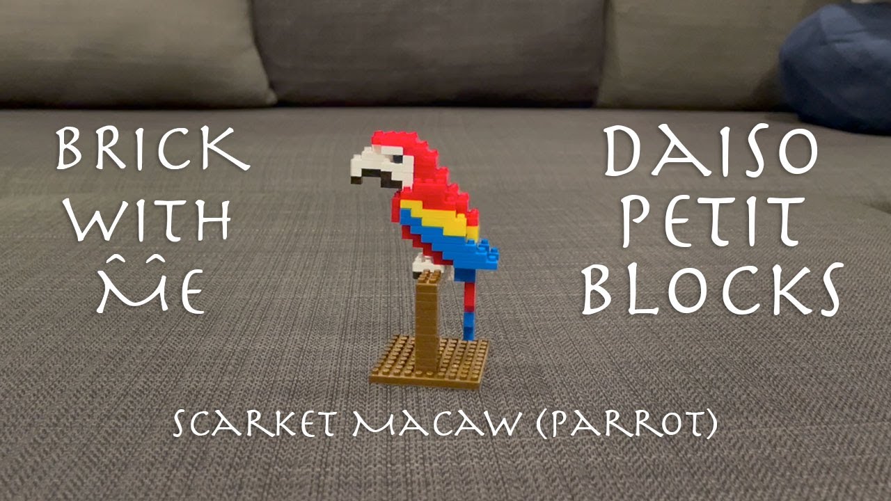 Daiso Petit Block Ep6 - Scarlet Macaw Parrot | 24 mins of building mini-block with background music