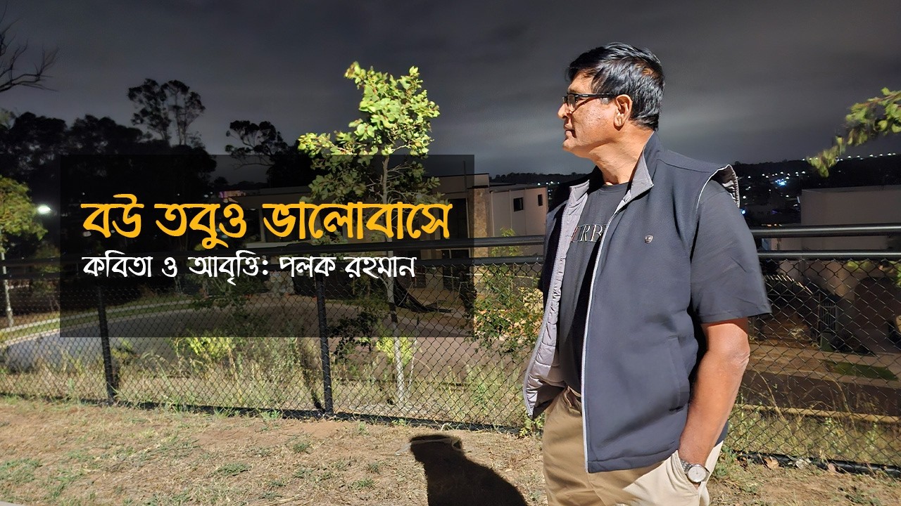 বউ তবুও ভালোবাসে- কবিতা ও আবৃত্তিঃ পলক রহমান।