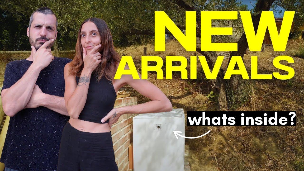 Our Homestead's New Arrivals (They're Not What You Think!)