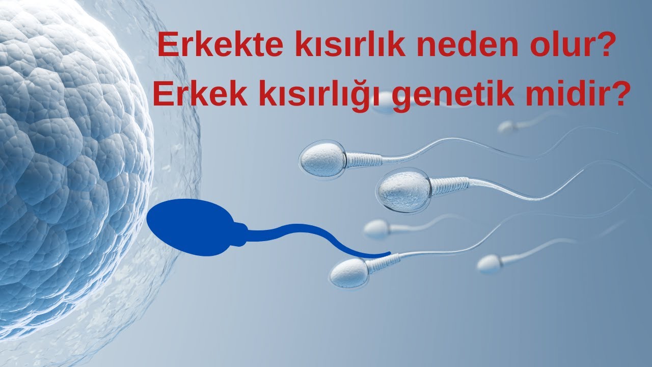 Erkeklerde Kısırlık Nasıl Anlaşılır ? | Testi Nasıl Yapılır ?| Genetik Mi ? |Prof. Dr. Murad Başar