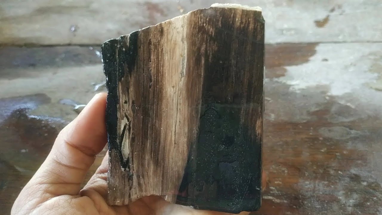 MENGOLAH BAHAN BATU AKIK FOSIL KELOR