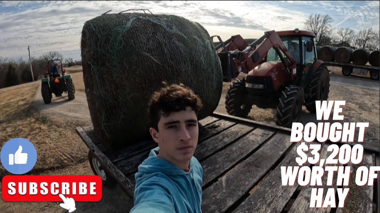 We Bought More Than $3,200 Worth of Hay (Alfalfa)!!