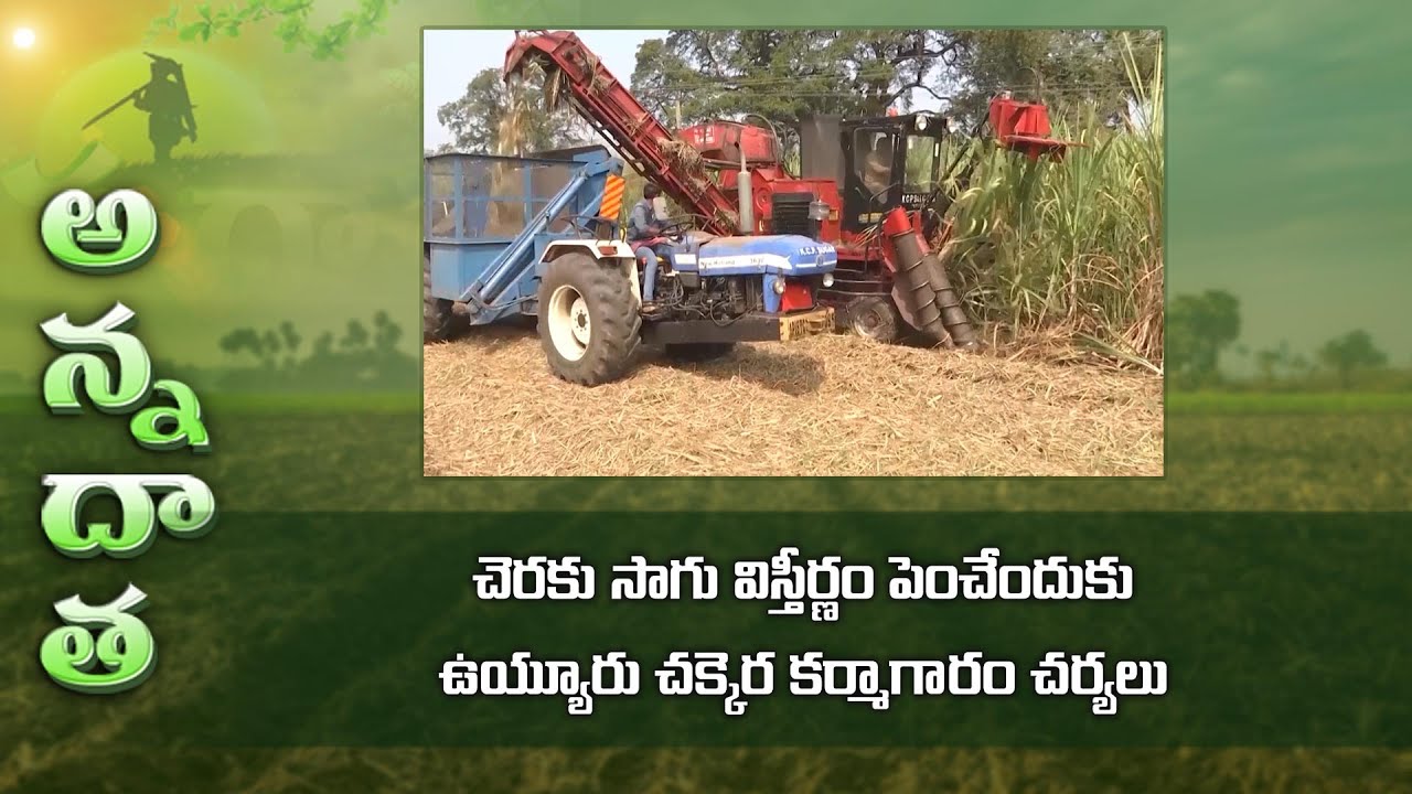 Uyyur KCP encouraging sugarcane cultivation with subsidies | ETV Telugu