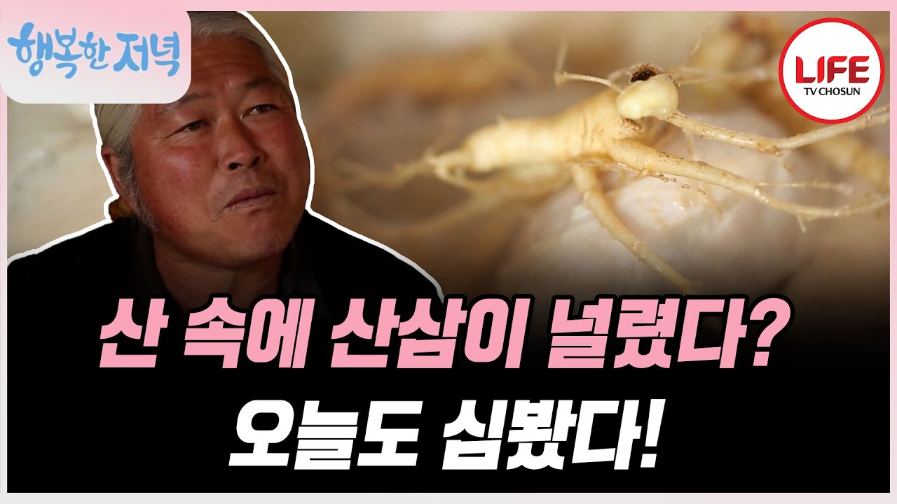[#행복한저녁] 심봤다!! 파기만 하면 나오는 산삼?! 10년근 산삼이 내 입에! 기운이 펄펄 난다! (TV CHOSUN 170411 방송)