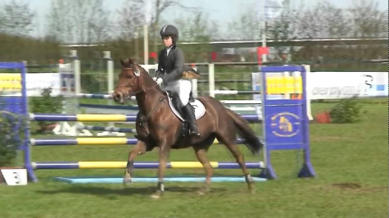 Sieger Pony-Jugend-Förderung `Holsteiner Schaufenster 2012` in Borgstedtfelde