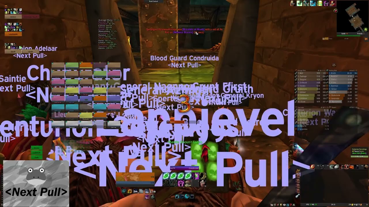 (VOD) Next Pull BWL/MC raid - [Healer POV] - WoW Classic
