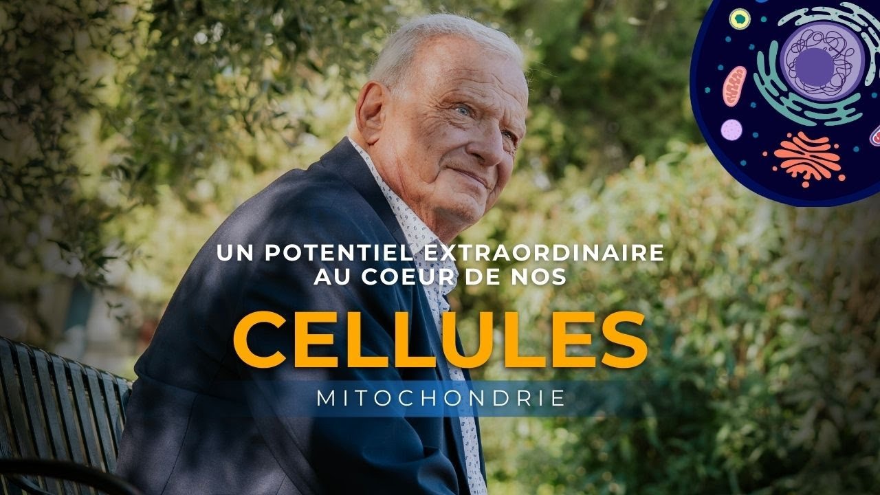 Le secret caché au cœur de vos cellules : pourquoi vos mitochondries changent tout