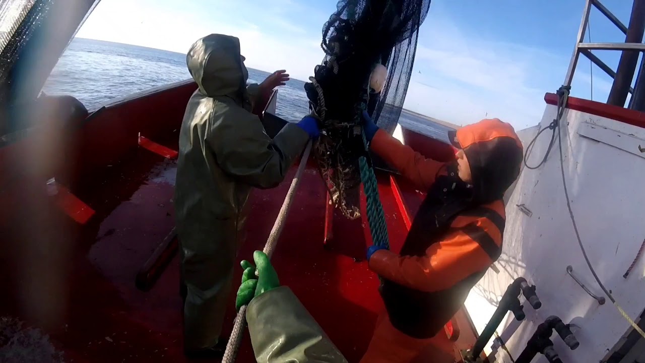 Capelin fishing in 'River of Ponds' Newfoundland, Sunday, June 21st, 2020.