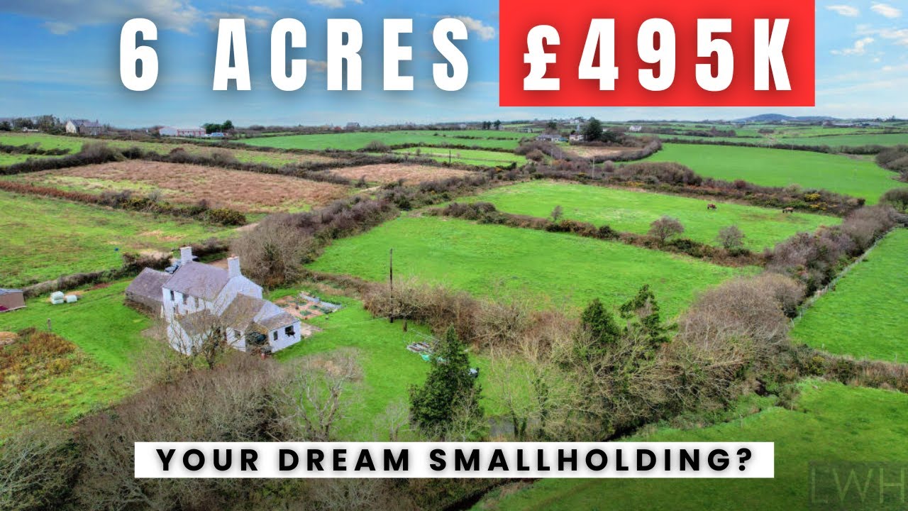 Your DREAM 6 Acre Smallholding in North Wales? Under £500K!