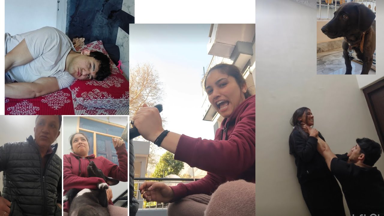 4th day in Himachal ❤️🥰