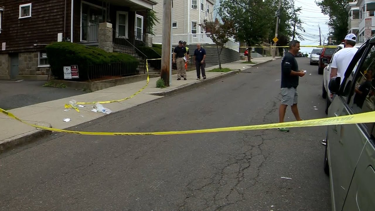 19-month-old boy struck, killed by livery vehicle in Chelsea, state police say