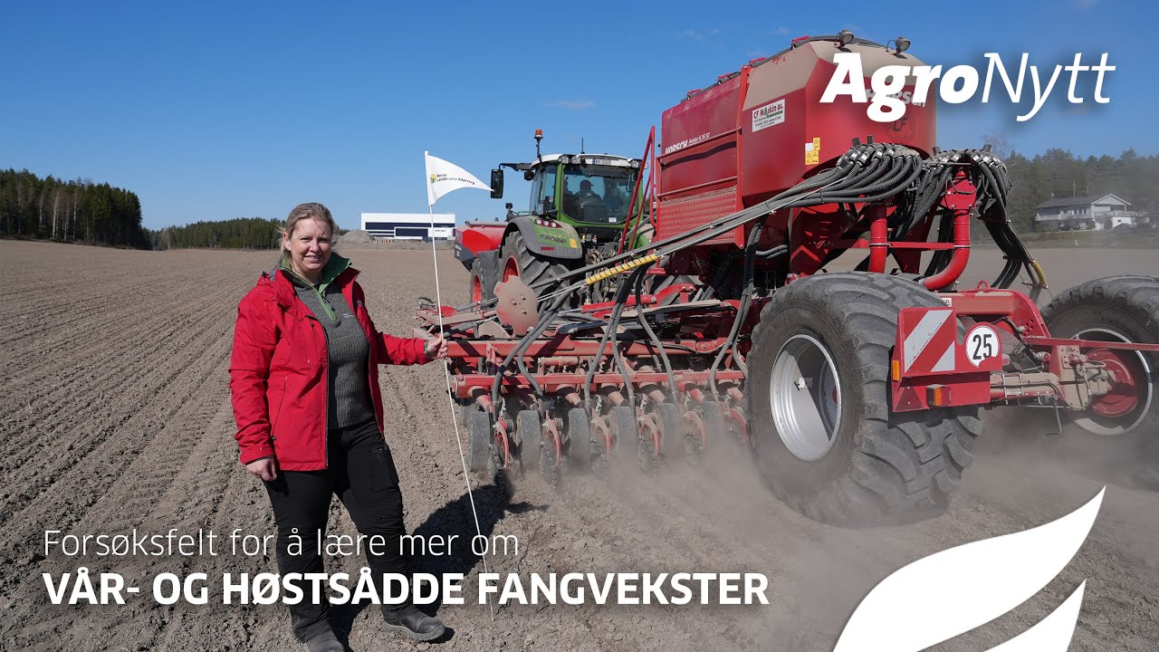 Forsøksfelt for å lære mer om moldoppbygging og aggregatstabilitet