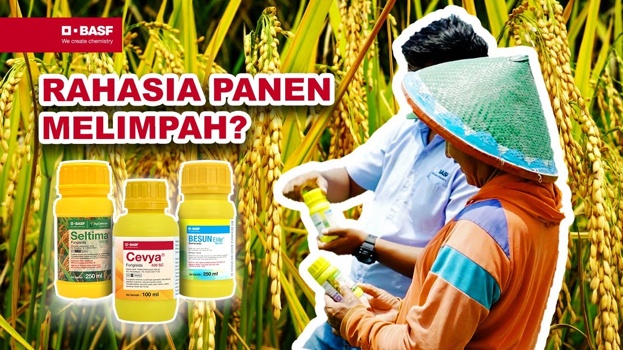 Besti Cevya: Kombinasi Paten Maksimalkan Hasil Panen!