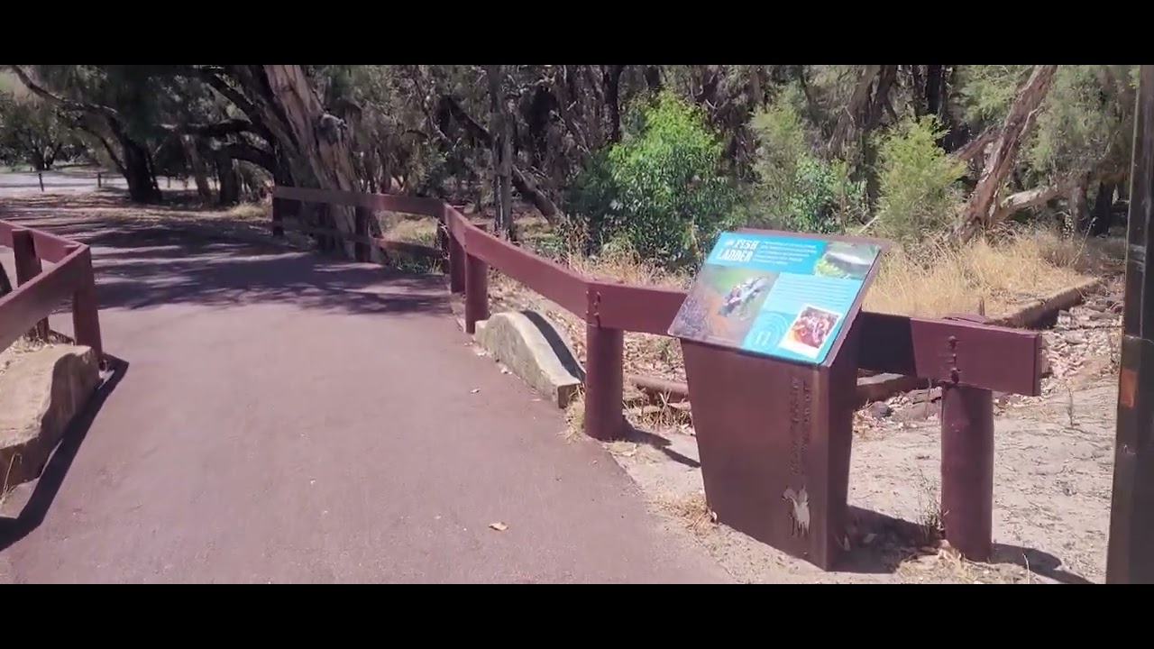 The beautiful view of Whiteman Park.