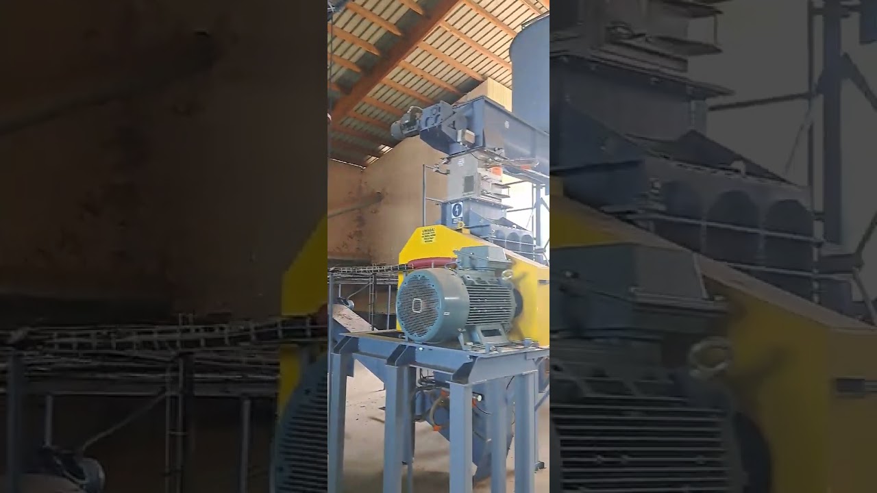 Pellet line - Bio Machines