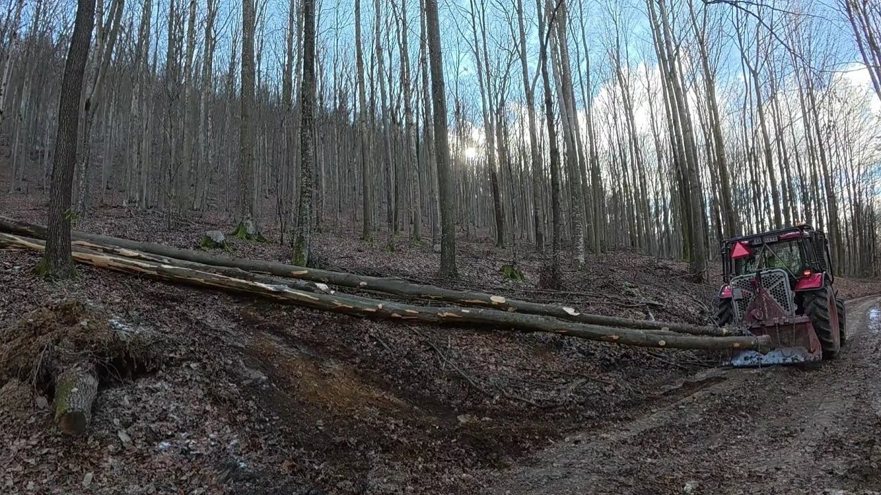 Вырубка склона и выдергивание деревьев из ручья, Амлес, MS 361, Зетор, Работа в лесу