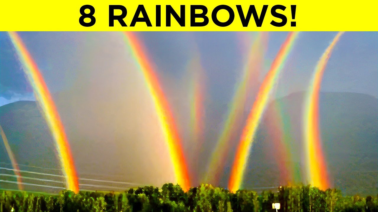 When Nature’s Rarest Events Were Caught on Camera