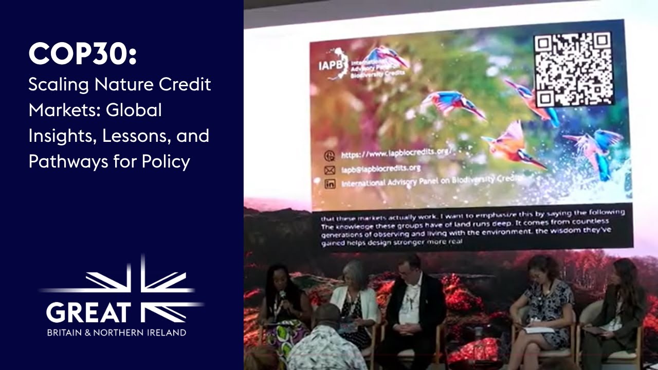 Scaling Nature Credit Markets: Global Insights, Lessons, and Pathways for Policy