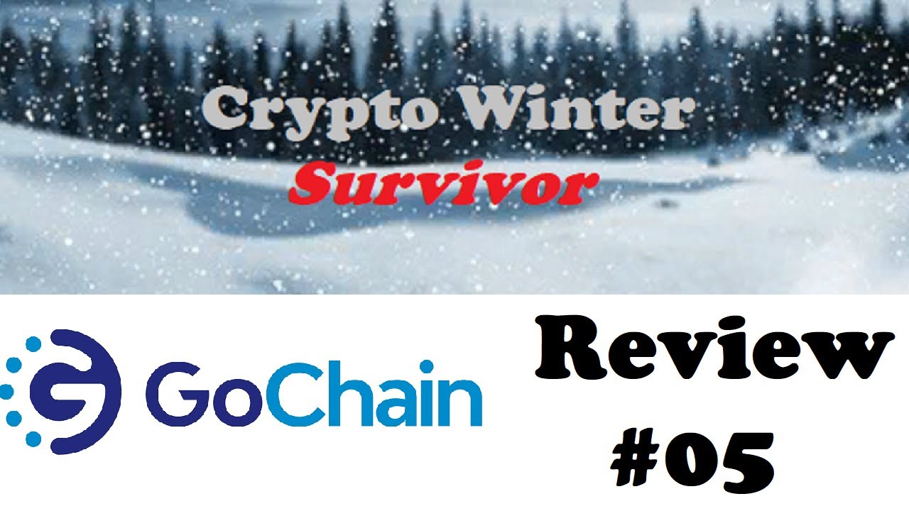 GoChain (GO) - Blockchain for Business! -  CryptoReview #05