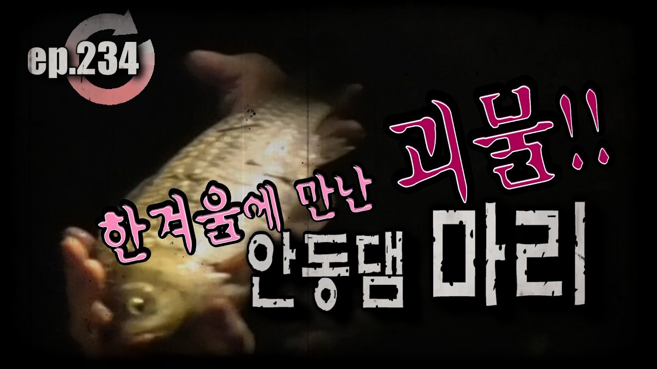[ep.234] 겨울 안동댐에서 만난 괴물!! 안동댐 마리권 #안동댐 #안동호 #댐낚시 #마리