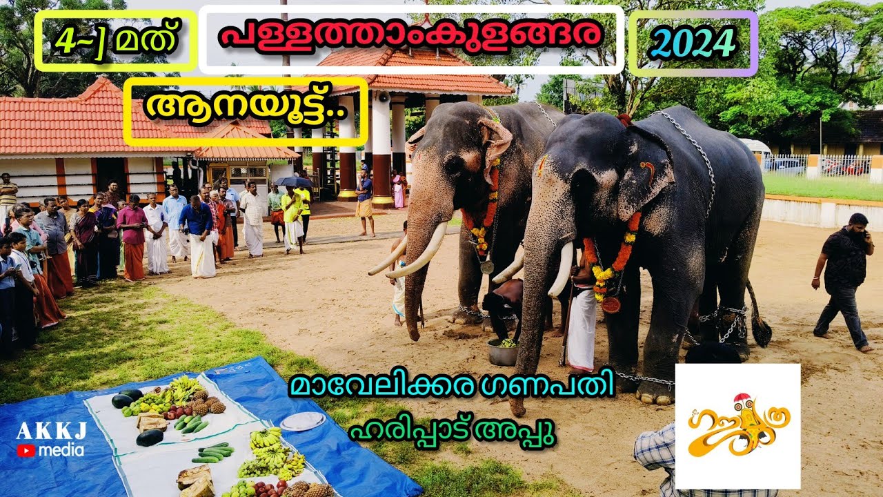 പള്ളത്താംകുളങ്ങര ആനയൂട്ട്  2024 pallathamkulangara aanayoottu 2024