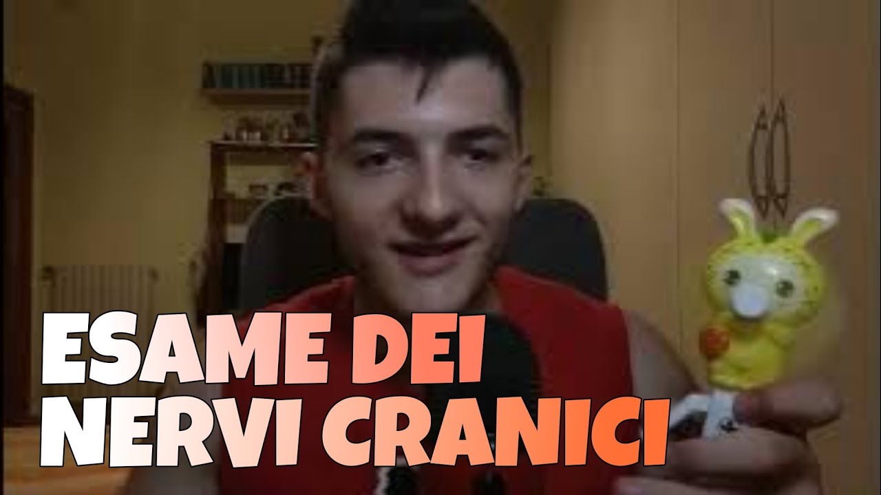 ASMR| Rapida analisi dei nervi cranici 💤⚡💤  (cranial nerve exam)